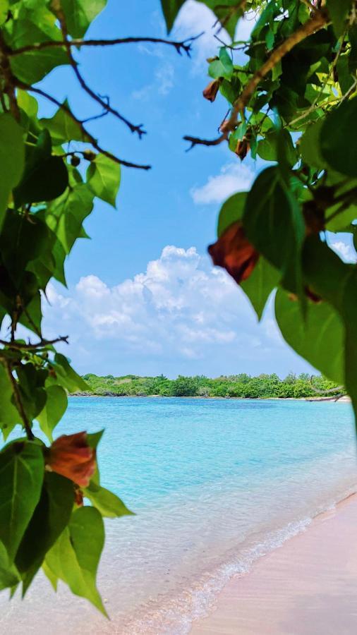 La Villa Ixora, magnifique Villa avec Piscine Les Abymes Esterno foto