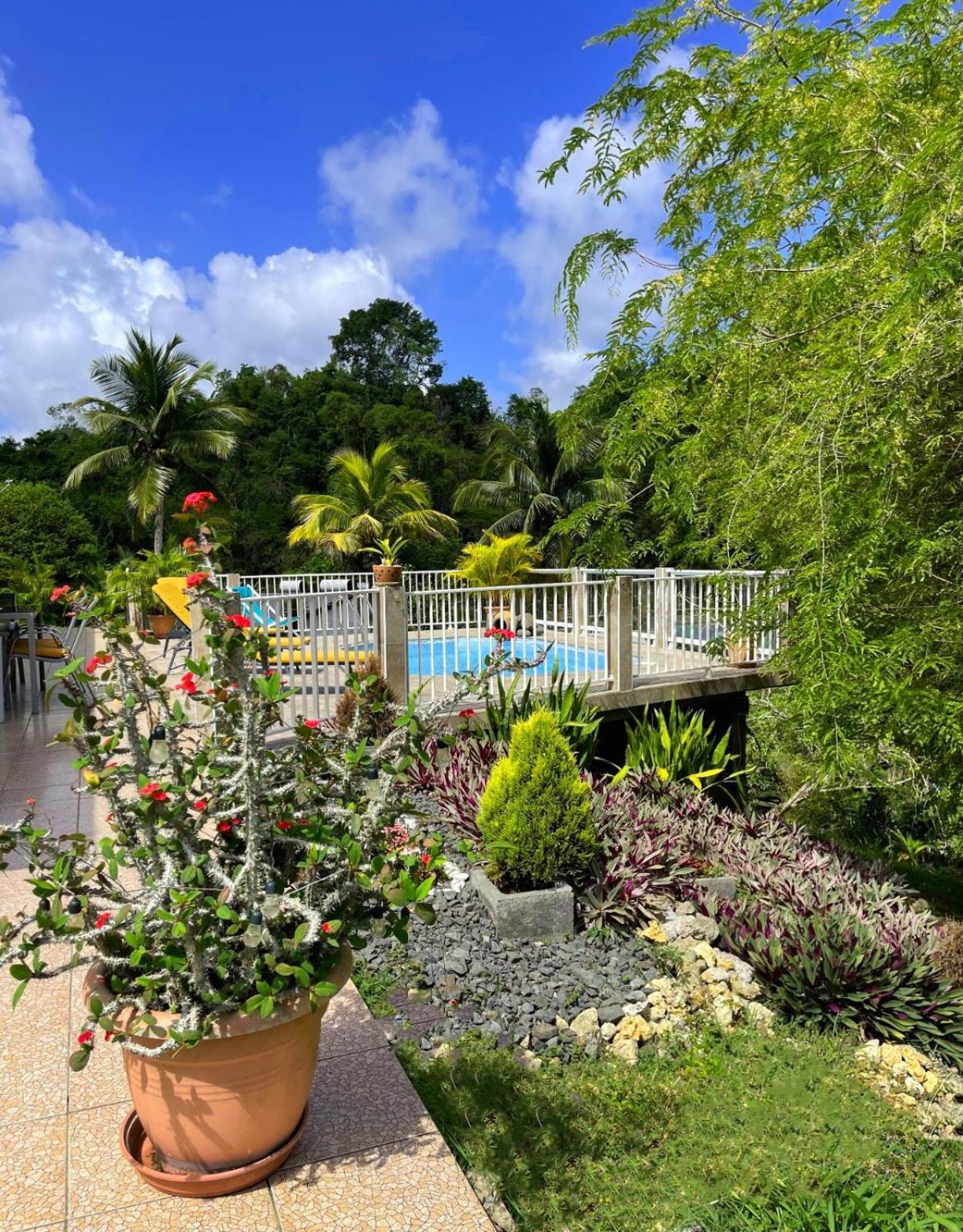 La Villa Ixora, magnifique Villa avec Piscine Les Abymes Esterno foto